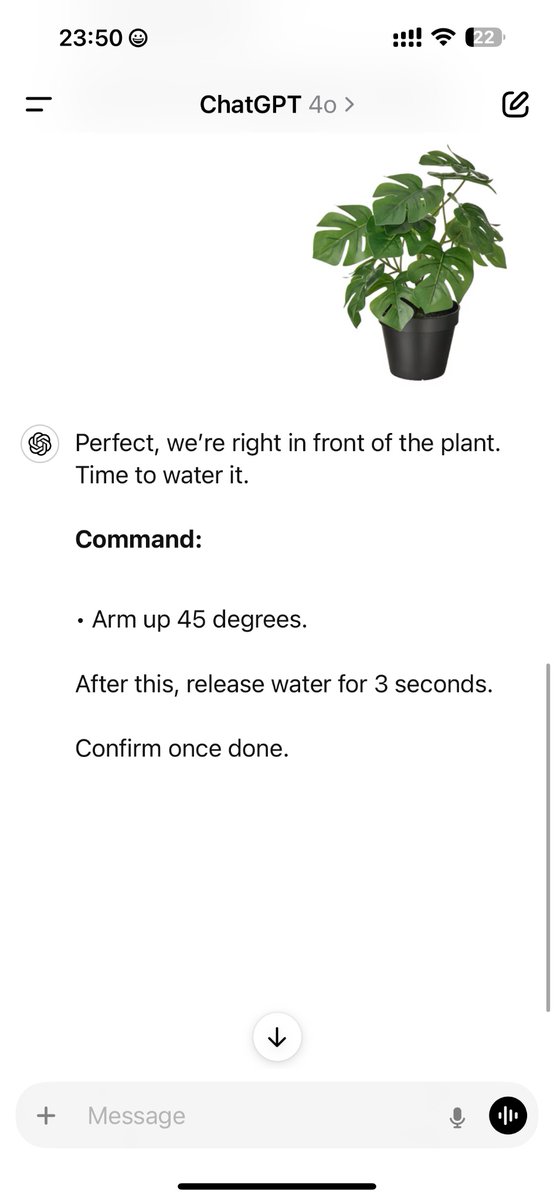 @levelsio tweet media