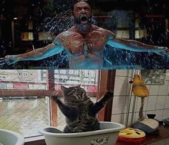 Flash news: It's Stefanie Freitag!