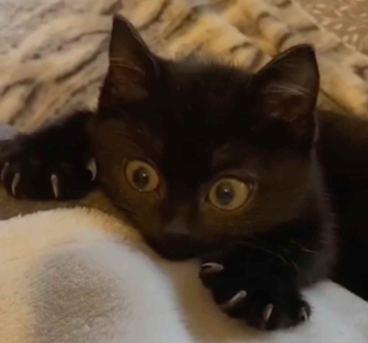 J., reporting for duty!