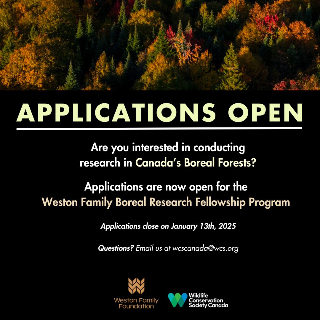 📢 Calling all grad students - applications are open for Weston Family Boreal Research Fellowships! #fundingopportunity

Fellows receive financial support, mentorship from our scientists, &amp; access to a network of Fellows. Apply by Jan 13th 2025: loom.ly/P0KenSY