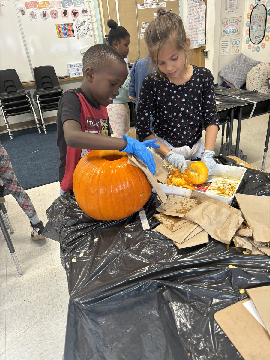 MissIngoldsby's tweet photo. Last week we did our shared procedural writing as a class, and today we carved our pumpkins! 🎃 This was such a great collaborative opportunity for students, especially for those who had never carved a pumpkin before! #WCDSBAwesome @StBernBears https://t.co/4dr9eY3M9A
