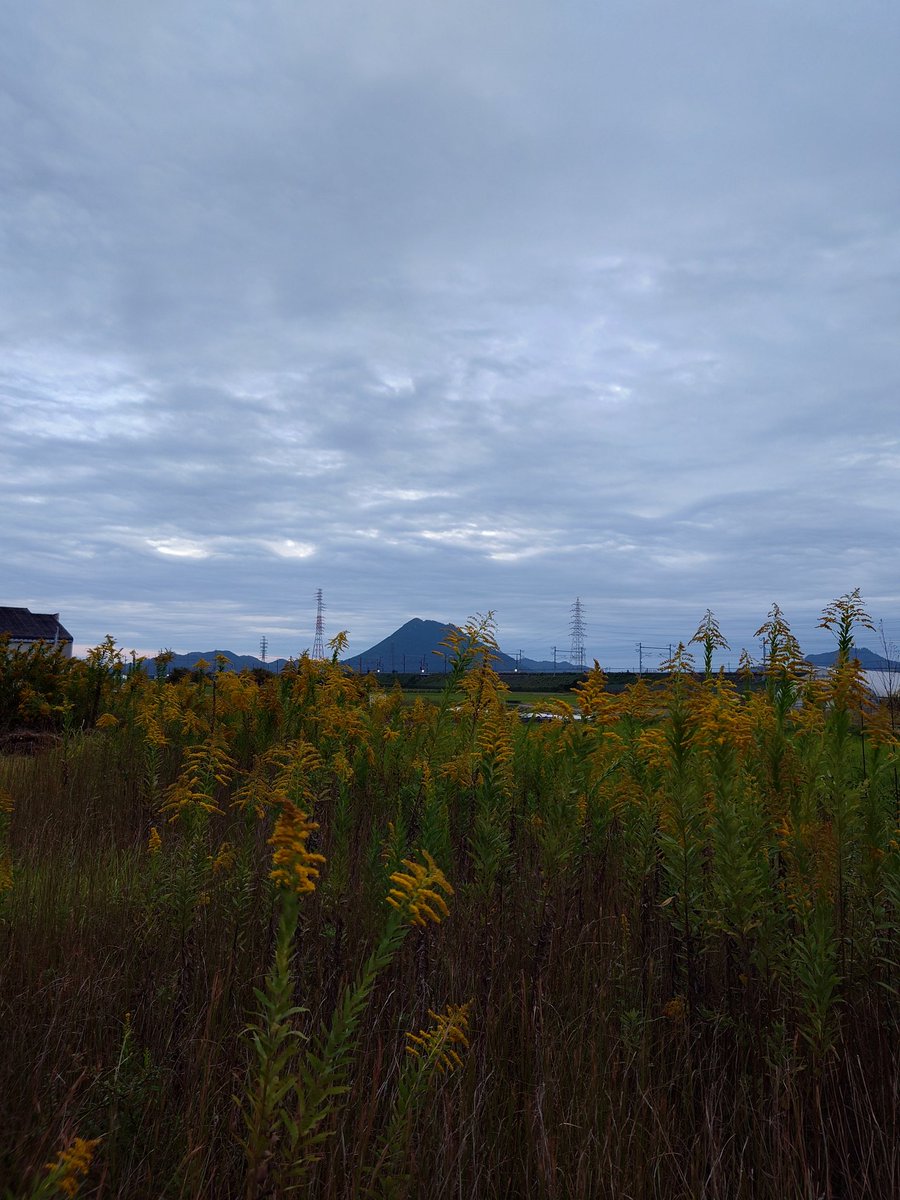 gogolakes's tweet image. 昨日夜勤明け帰って昼間にがっつり寝たせいか、昨夜1時前頃寝たけど、しっかり早起きしてまして♪
昼から雨☔だし、朝のうちに歩く🎶

今日のリトグリプレイリスト、シャッフル一曲目はmagic!🪄✨でした😆

#イマソラ
#おはようございます
#HELLONEWDAY
#今日もいい日になるでしょ