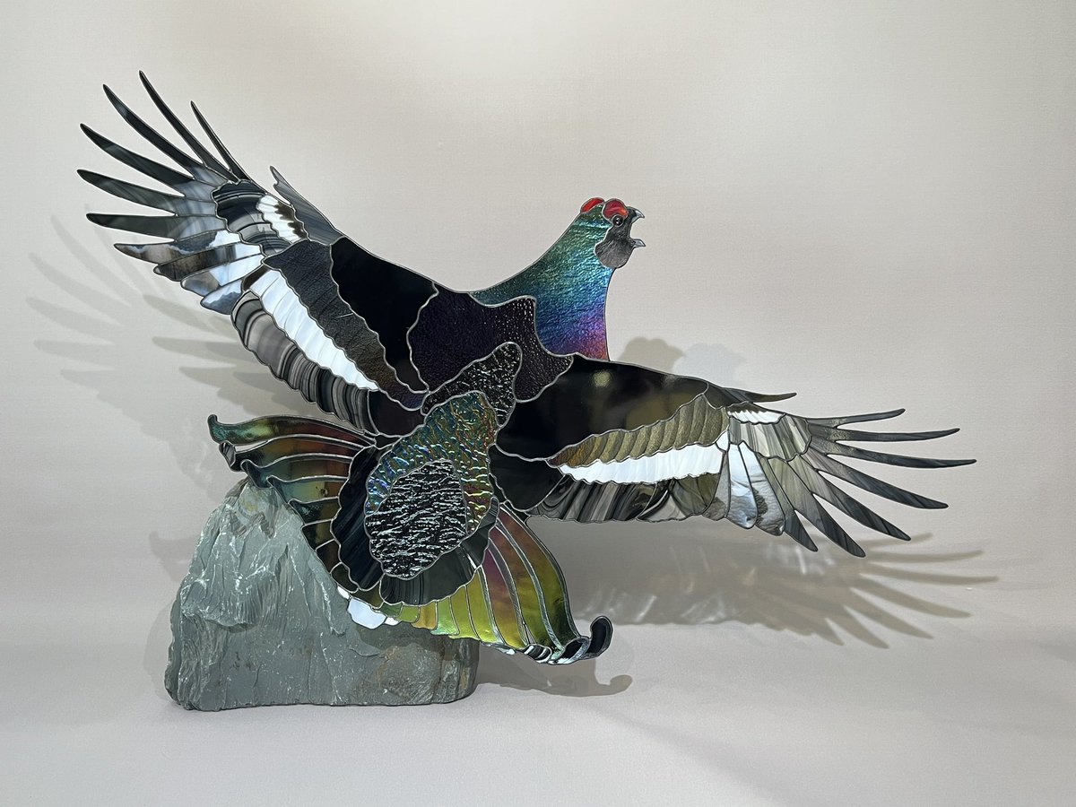 fidhw's tweet photo. The #glass boys (Snow-bunting and Black Grouse) will be back from London and lighting up my studio again on Thursday, and will shortly be for sale - as will this Black-tailed Godwit:  are you team #wader, #gamebird or #passerine? 
#birdart #birds #ArtistOnTwitter #ArtistOnX https://t.co/vf6SqcnZFM