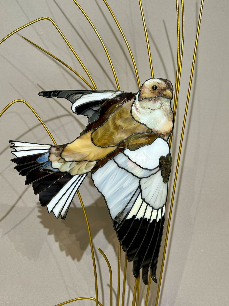 fidhw's tweet photo. The #glass boys (Snow-bunting and Black Grouse) will be back from London and lighting up my studio again on Thursday, and will shortly be for sale - as will this Black-tailed Godwit:  are you team #wader, #gamebird or #passerine? 
#birdart #birds #ArtistOnTwitter #ArtistOnX https://t.co/vf6SqcnZFM