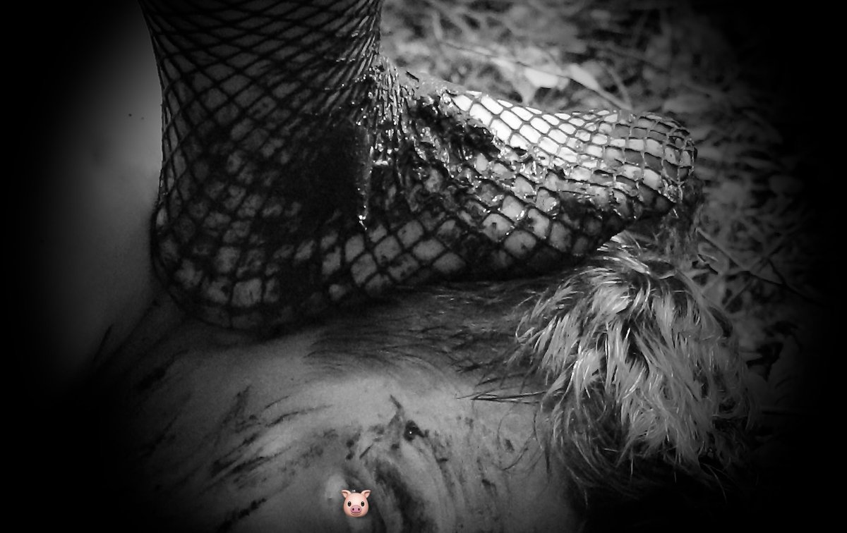 Queen_Freja's tweet photo. 🖤 LOCKTOBER GAME DAY 28 👑
Bring out your inner piggy 🐷 Clean up a pair of boots with your tongue. Lick the sole as if I am pressing it unto your face. The dirtier the boot the better. 💦 Get it ready for inspection, boy 😈 #Locktober #bootworshipping https://t.co/ZFJYouZFbA