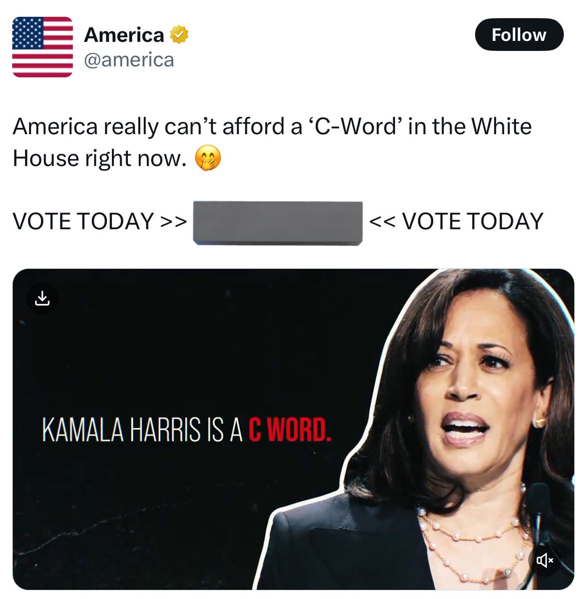 fred_guttenberg's tweet photo. So @elonmusk and his PAC deleted this C Word tweet.  Let's not forget about it.  Let's show everyone by VOTING FOR @KAMALAHARRIS that we reject that kind of language and hate. https://t.co/0PoQ1VtaEI