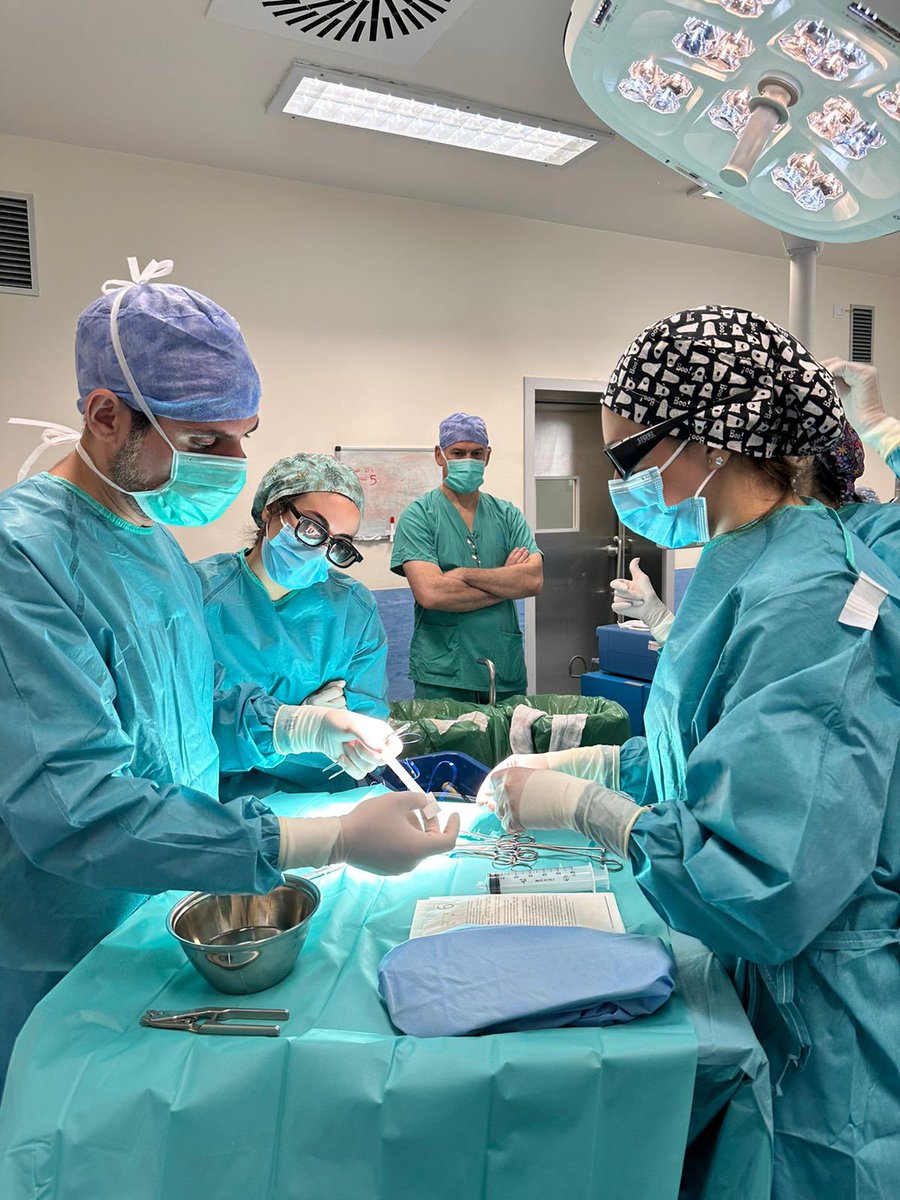 Urología Hospital Infanta Sofía tweet media