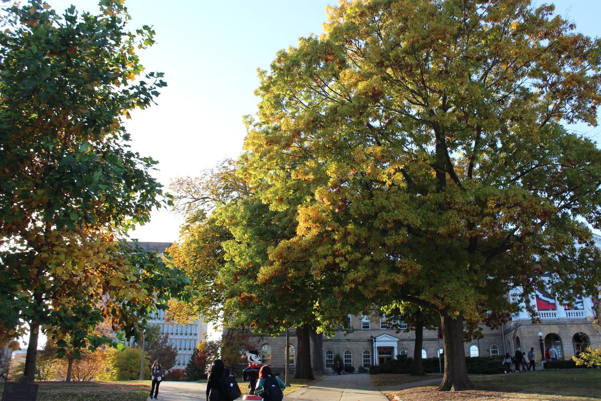 UWMadisonLS's tweet photo. Fall colors in full flourish on campus. Photos by Paula Yu. #WeAreLS https://t.co/tI1XQxuWrG