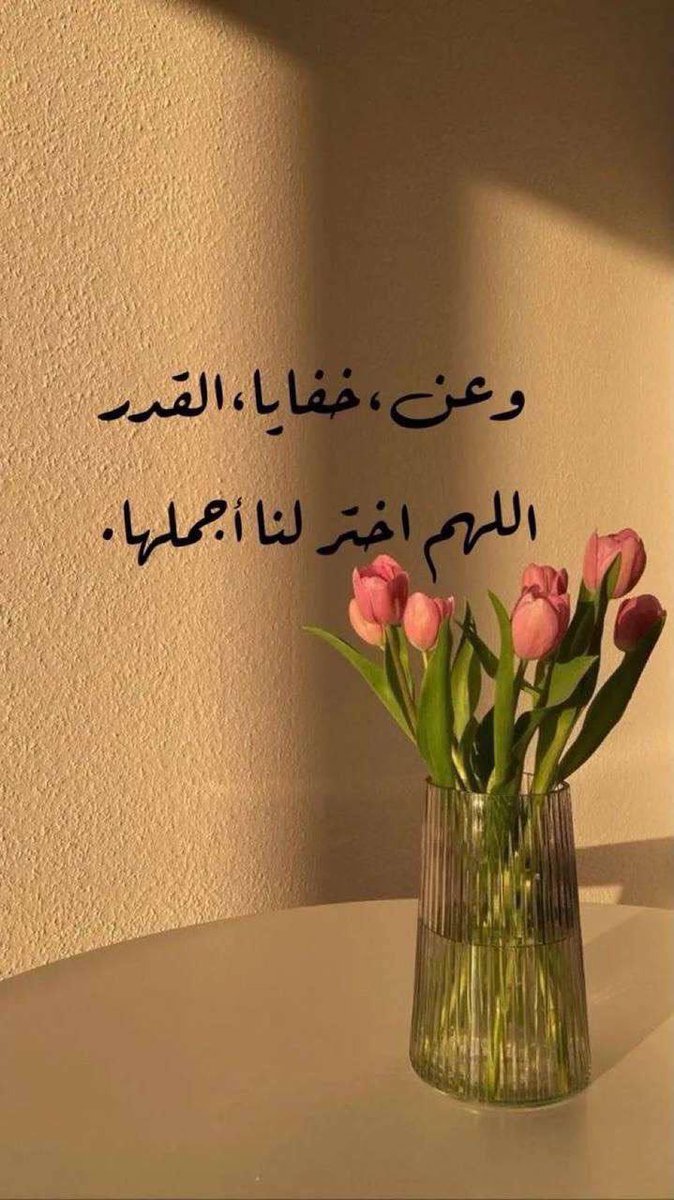 لولي الورد 🌷 tweet media