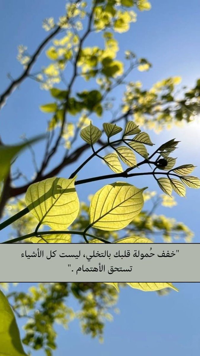 لولي الورد 🌷 tweet media