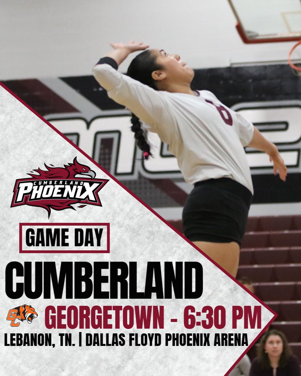 Cumberland Phoenix (@gocuphoenix) on Twitter photo The Phoenix have another chance for revenge this week as they welcome in the Georgetown Tigers!!
🆚 <a href="/GCAthletics/">GC Athletics - #TigerPride</a>
📍 Lebanon, Tenn.
⏰ 6:30 PM CT
📺 tinyurl.com/mr3c77t8
📊 tinyurl.com/yra3pyn4
#WeArePhoenix | <a href="/CumberlandVB/">Cumberland Women’s Volleyball</a> The Phoenix have another chance for revenge this week as they welcome in the Georgetown Tigers!!
🆚 <a href="/GCAthletics/">GC Athletics - #TigerPride</a>
📍 Lebanon, Tenn.
⏰ 6:30 PM CT
📺 tinyurl.com/mr3c77t8
📊 tinyurl.com/yra3pyn4
#WeArePhoenix | <a href="/CumberlandVB/">Cumberland Women’s Volleyball</a>