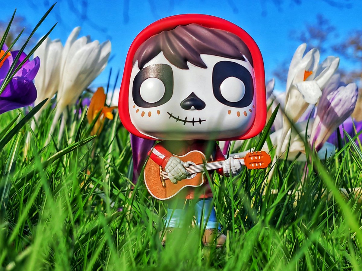 presfirstlady's tweet photo. Happy #Funkoween everyone. Join Miguel and I tonight to watch the amazing @Pixar Coco this @OriginalFunko Movie Night 🎸🎥🤍
#FunkoPhotoADayChallenge

#funko #funkophotography #FunkoFamily #funkofunatic #FunkoPop #funkosoda #funkofeature @FunkoEurope https://t.co/LuZNnRZ4fc