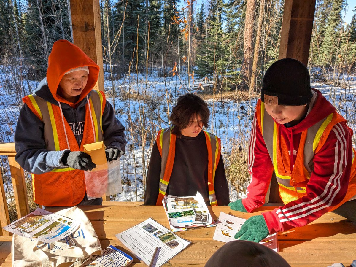 Inside Education tweet media