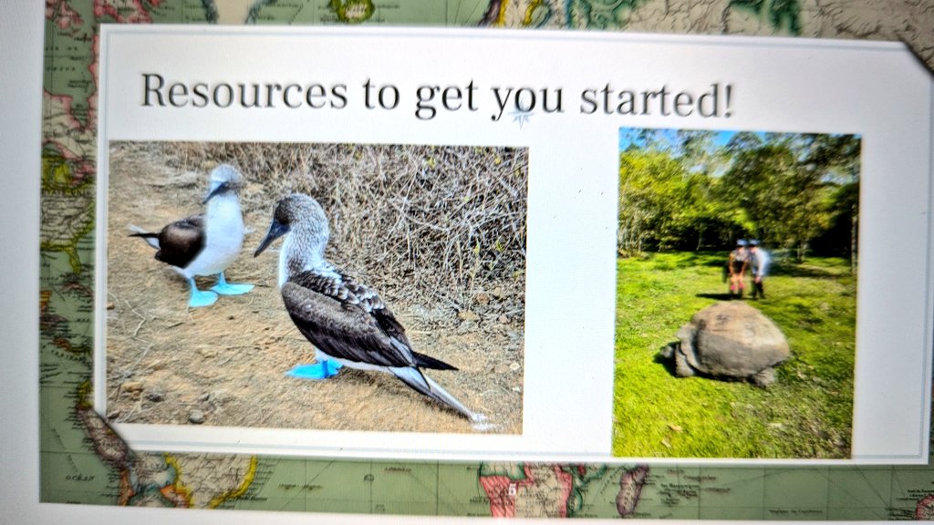 vickiemorgado1's tweet photo. Great time sharing my story of my expedition with @NatGeoEducation @LindbladExp to the Galapagos as well as resources that are cross curricular including one of my favourites @seekbyinat with @YorkUeducation students. Taking our learning outside. @Anne_SchlarpMc #whereIexplore https://t.co/WouM7dlg4X