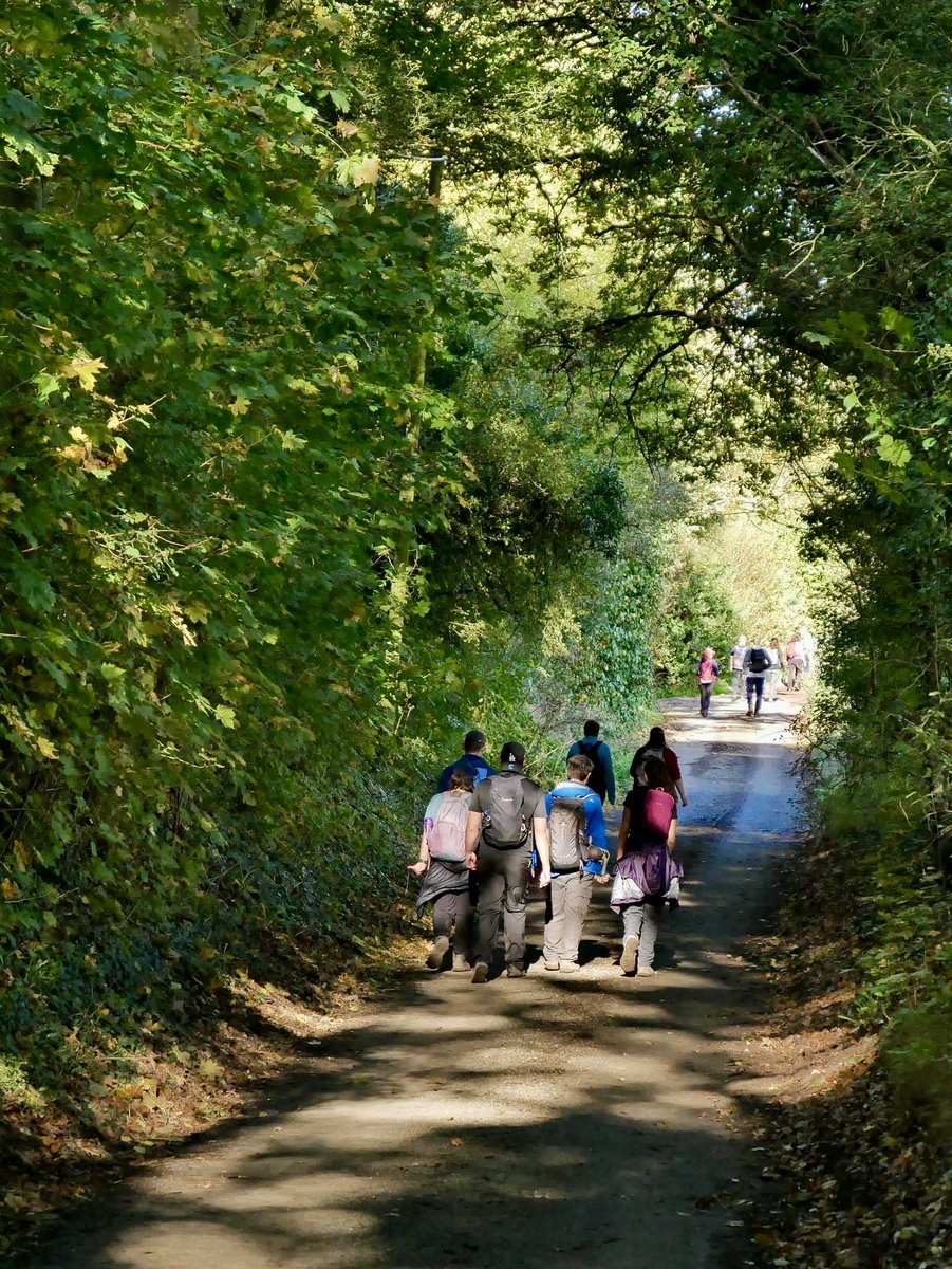 Stag Walkers tweet media