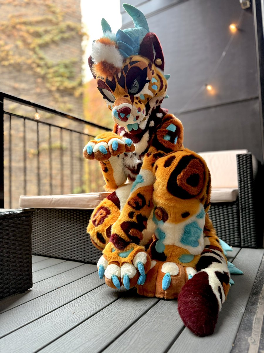 ThePhoenixNest_'s tweet photo. This fierce kitty is quite easy to spot! @NastyKaiju https://t.co/NMz4ZUdOXL
