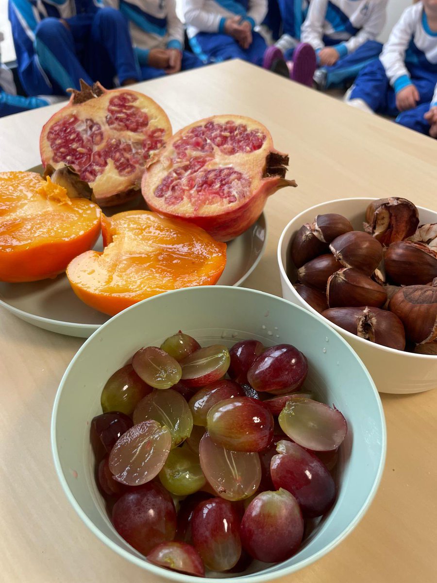 Col_Maria Rosa Molas tweet media