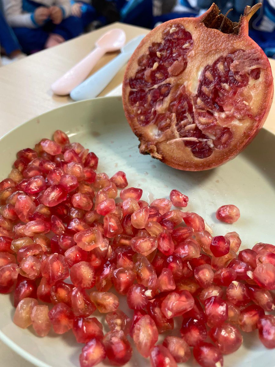 Els fruits de la tardor són boníssims! Per això els Pandes i els Koales d’I3 hem fet un tastet ben bo recordant tot allò que la tardor ens porta! 🍄‍🟫 ❤️🌰 🧡🍇  🤎#totsjuntsfemescola