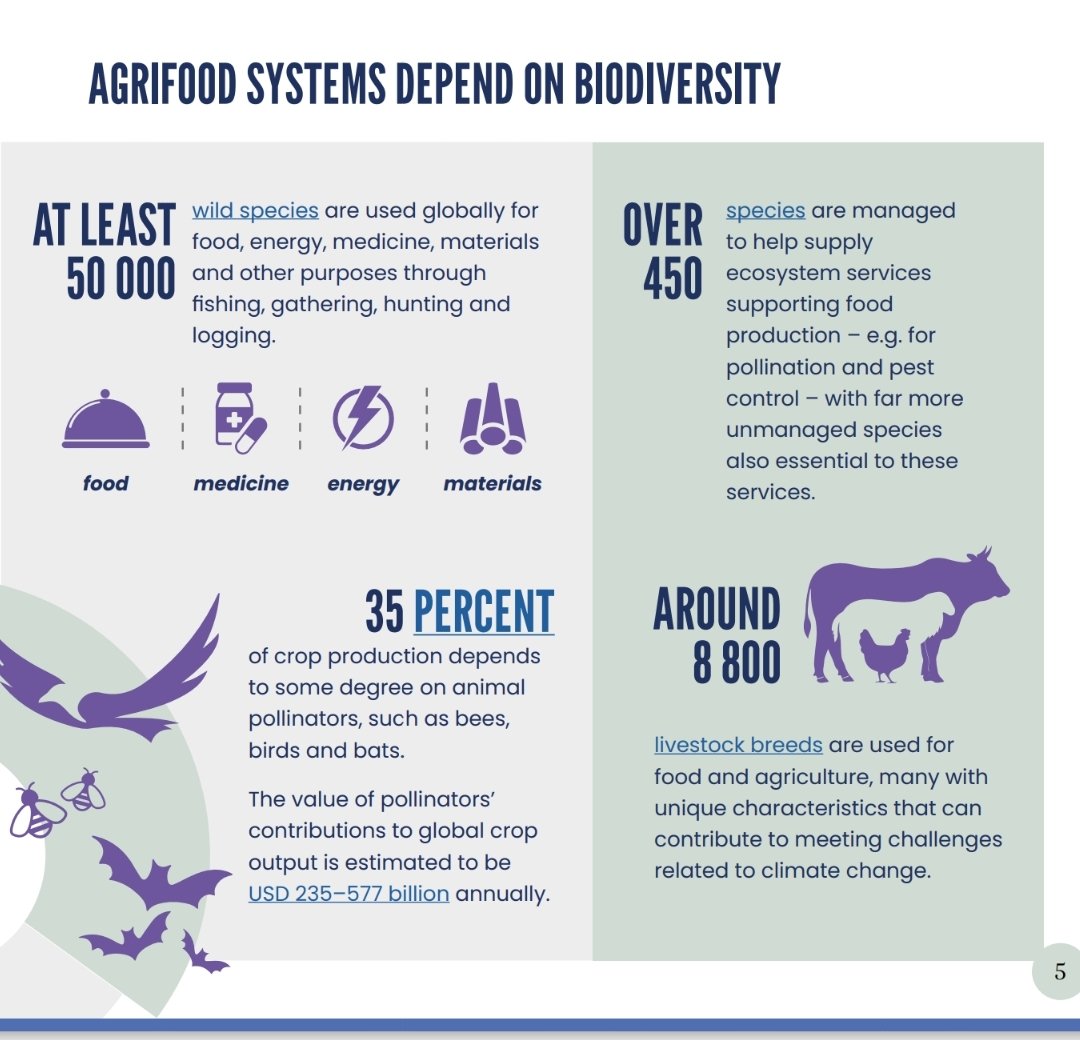 "Smallholders with less than 
2 hectares operate only around 
12 percent of all agricultural land, 
and produce roughly 35 percent of 
the world’s food. These producers often have vast knowledge about biodiversity and its importance in our food supply" FAO 2024