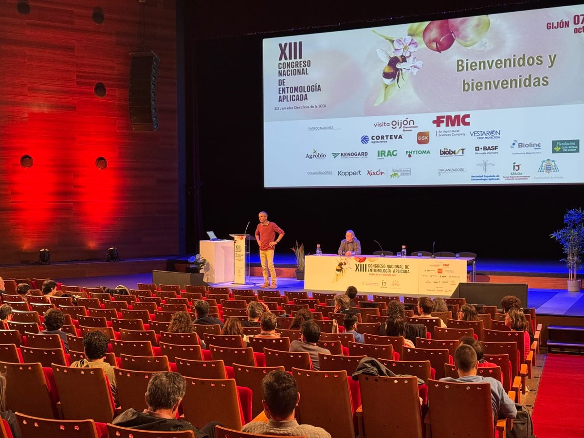 Programa de Seguiment de Ratpenats (@ratpenats_cat) on Twitter photo Fa uns dies en Xavier Puig, del #BiBio donà la xerrada plenària al congrés d'entomologia aplicada a Gijón🕷️🐛🦋🐞🐜🐝🦗🦟🪳🪲🪰Alguna cosa tindran a veure amb els 🦇;) En un dels últims estudis describim com alguns🪰tenen por de la veu dels🦇! ➡️<a href="/TuneuCarme/">Carme Tuneu-Corral</a> per saber-ne més #bats Fa uns dies en Xavier Puig, del #BiBio donà la xerrada plenària al congrés d'entomologia aplicada a Gijón🕷️🐛🦋🐞🐜🐝🦗🦟🪳🪲🪰Alguna cosa tindran a veure amb els 🦇;) En un dels últims estudis describim com alguns🪰tenen por de la veu dels🦇! ➡️<a href="/TuneuCarme/">Carme Tuneu-Corral</a> per saber-ne més #bats