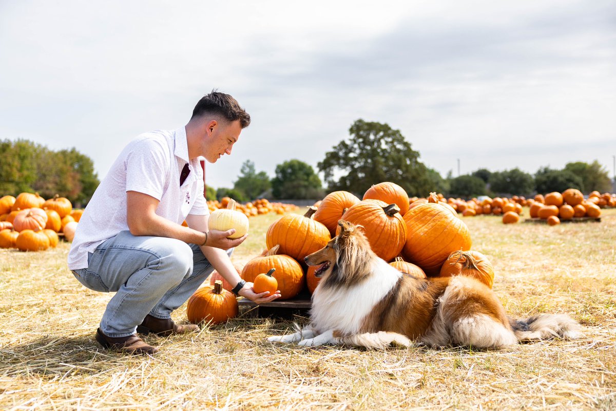 Let me get this straight, my Joshie— you’re asking ME to pick between something orange and something that isn’t orange….