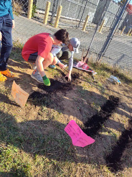 M. Thomas, Ed.D. tweet media