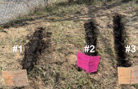 M. Thomas, Ed.D. tweet media