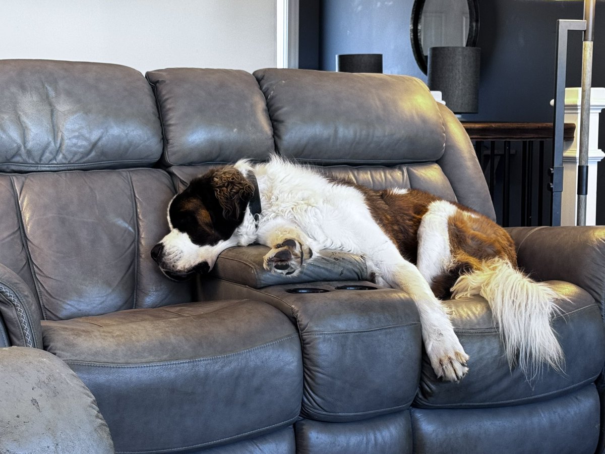 Dave Growl tweet media