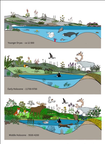 #GGA &amp; <a href="/CorkGeological/">CorkGeologicalAssociation</a> host Z lecture: 'Ecosystem dynamics from ancient DNA' by Prof. I G Alsos, Tromsø University Museum <a href="/TromsMuseum/">Tromsø Museum</a>, Arctic Uni. of Norway on Wed, 30th October at 7 pm #aDNA #ClimateChange #Lateglacial #Holocene
Zoom link available from: galwaygeology@gmail.com