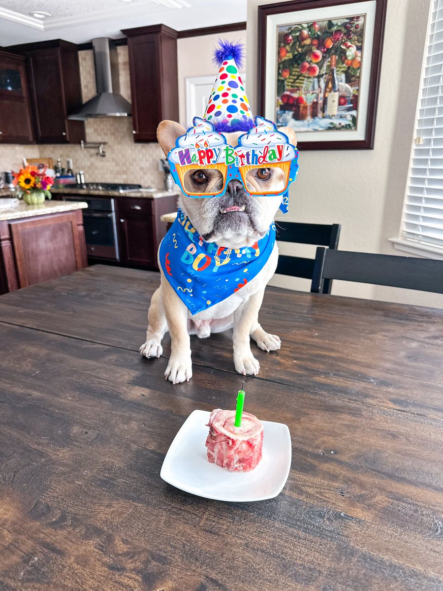 Miscmeha's tweet photo. @Phil_Sledge Bochy celebrating his 5th birthday today. https://t.co/DOjgcqXXRA