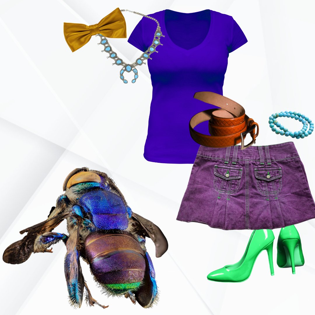 USGS's tweet image. Need a last-minute Halloween costume? How about one that&apos;s USGS science-inspired?!

Here are some ideas to get you started:

🐝Orchid bee
🪨Rock
🗺️Colorful bathymetric map
💧Water sample

What&apos;s your ideal USGS-inspired costume?

#SpookyScience #HalloweenCostume #StealTheLook