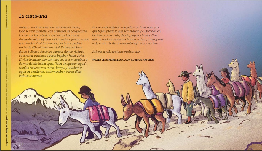 Centro IRIS tweet media