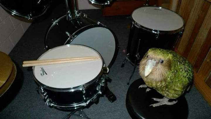 What song should he play