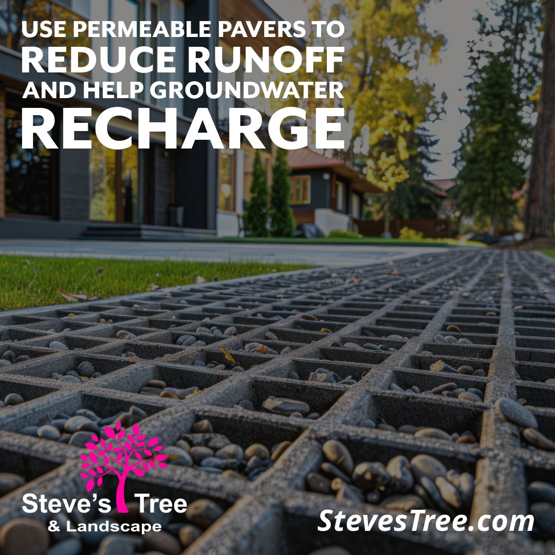 StevesTreeLand's tweet photo. 🌿 Use permeable pavers to reduce runoff and help groundwater recharge. 

The Best Hardscaping Design in Miami Beach: https://t.co/upgOH7o583

🍃 Sustainability starts in your backyard! 

#EcoFriendly #HardscapingTips #Pavers https://t.co/HJ4IksWt1J