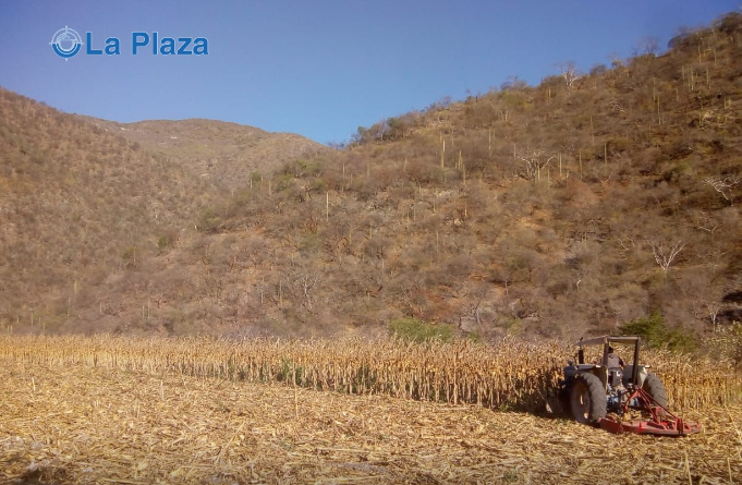 Crece economía de industria en Guerrero mientras el sector agrícola baja: Inegi 
laplazadiario.com.mx/crece-economia… a través de <a href="/LaPlazaDiario/">La Plaza</a> 
#Guerrero #SectorAgrícola #ITAEE #Inegi