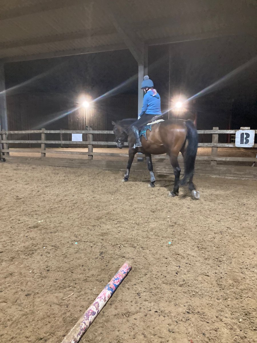 Charly (@blindseyeview) on Twitter photo I think lily might be starting to understand this stretching down instead of having her head in the air like a lama when we ride idea... maybe I think lily might be starting to understand this stretching down instead of having her head in the air like a lama when we ride idea... maybe