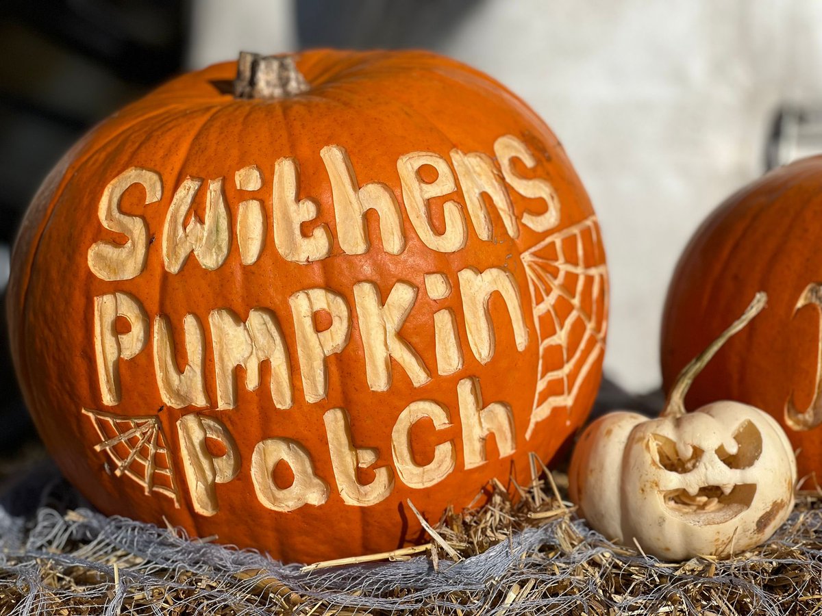 It’s the last few pumpkin days🚜
#pumpkinpatch