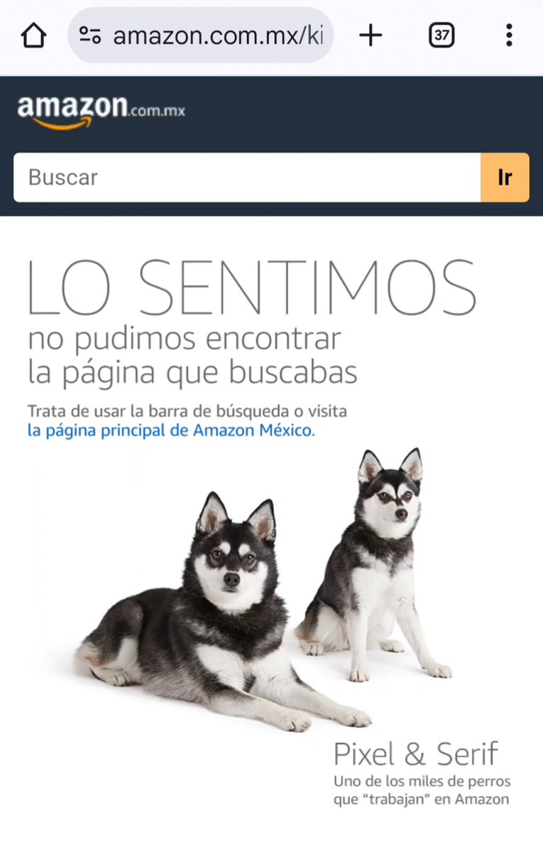drafoxter's tweet image. Whenever someone wanted me to read a #kindlevella story, this is what I saw on the link.

Yeah, there is probably a good reason why Kindle Vella is closing. 🤔🤔🤔
