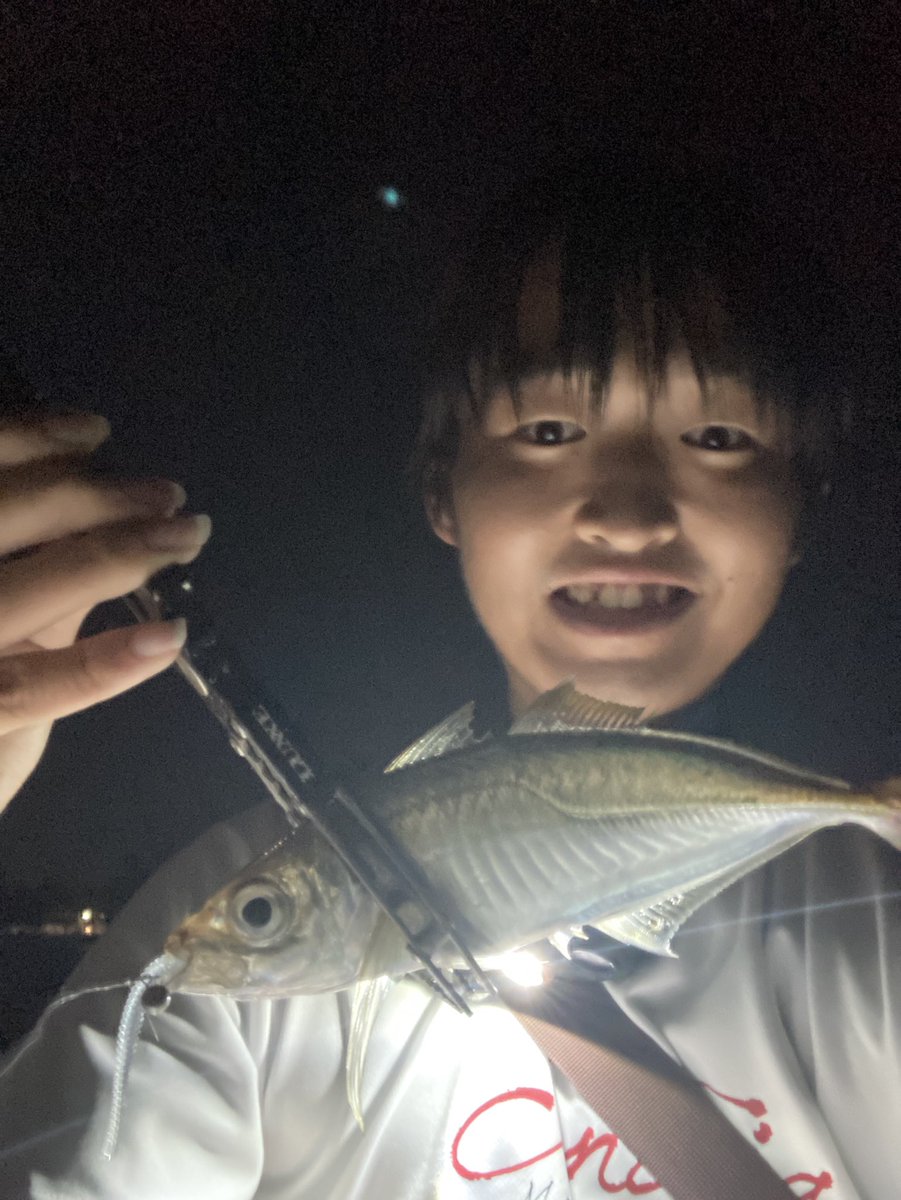 yasu0807wata's tweet photo. ショアエギングもいい感じ〜 https://t.co/XSYoJZ9xPo