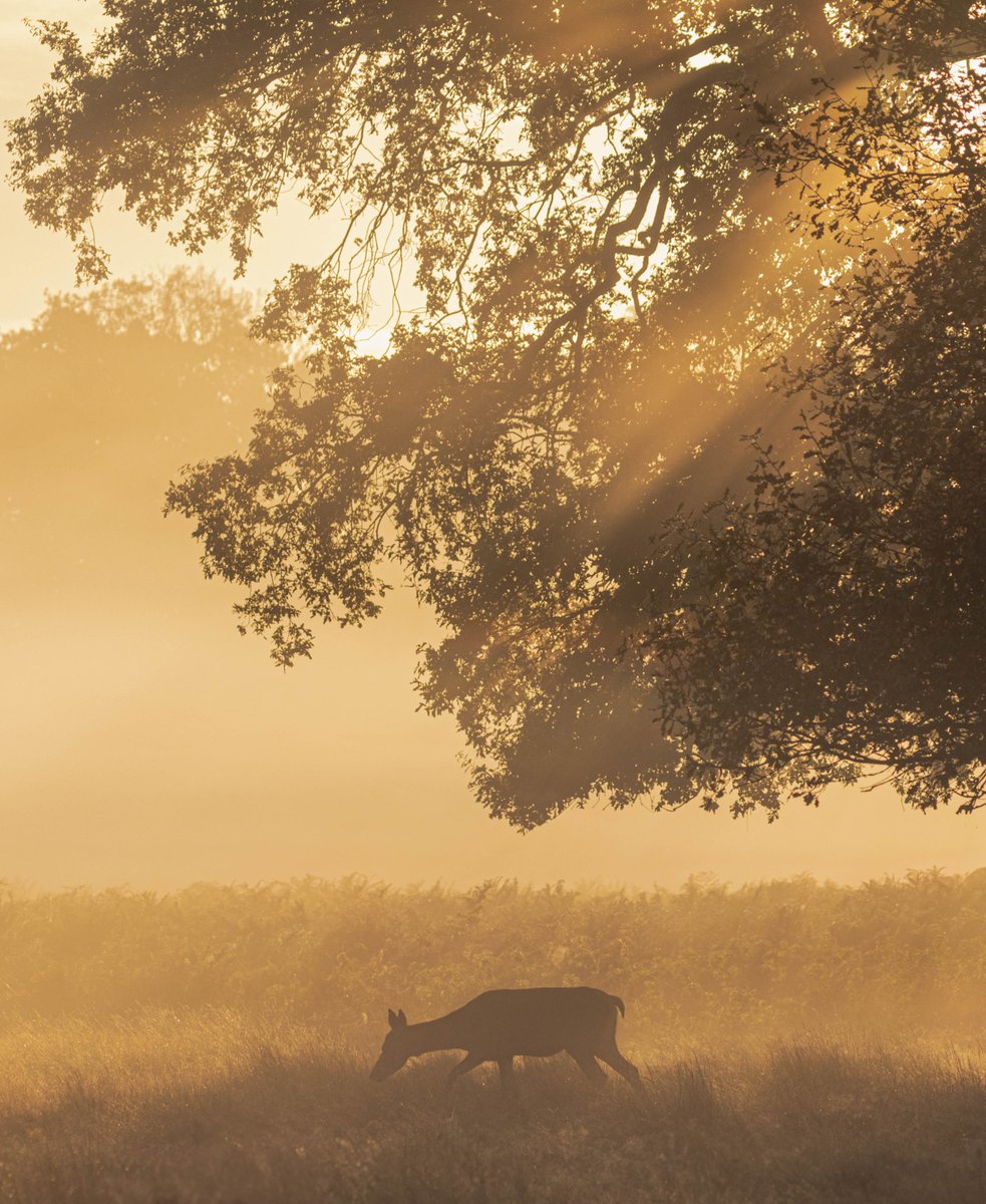 Tammy Marlar tweet media