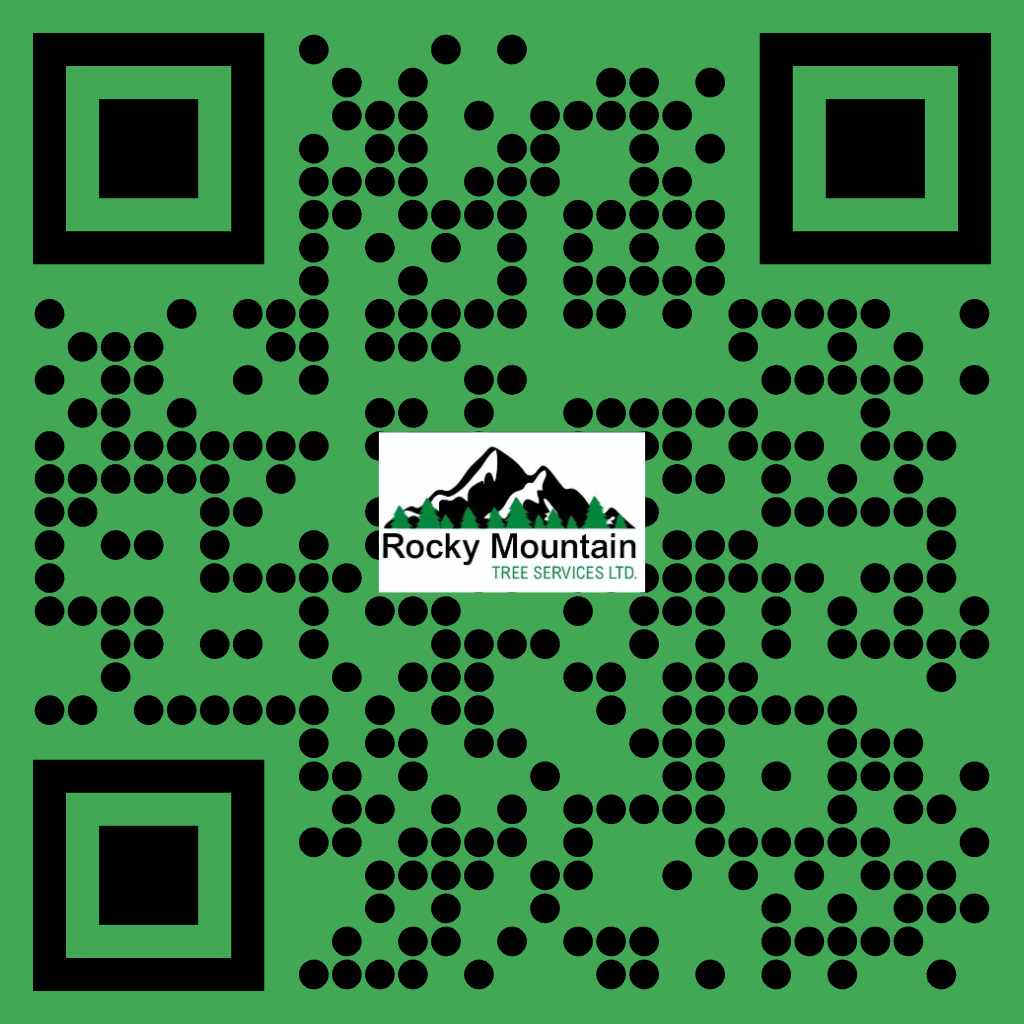 RMTreeService's tweet photo. https://t.co/jhExWeTVux