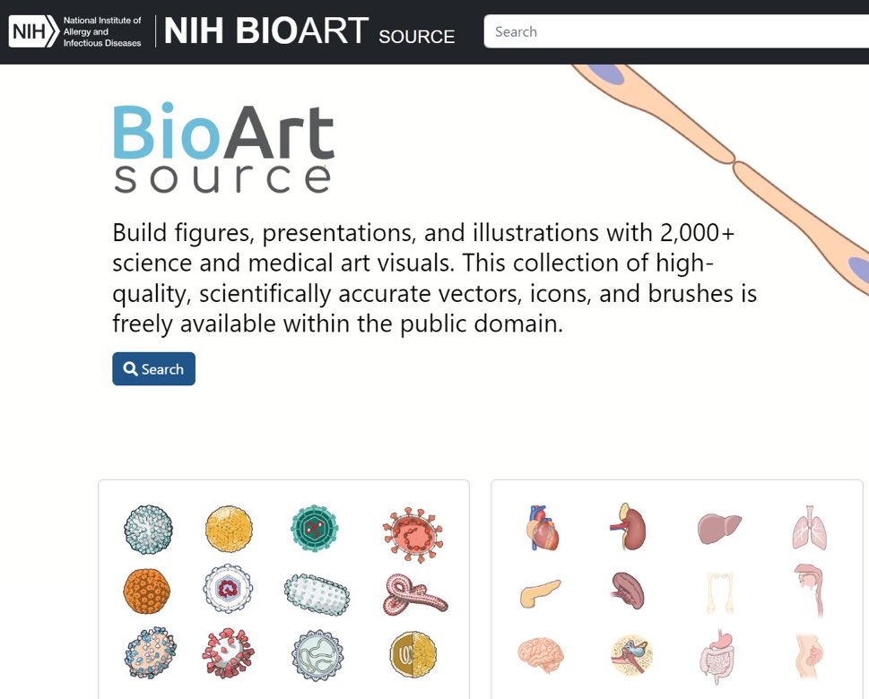 # موقع Bio Art Sourse   

يحتوي على اكثر من ٢٠٠٠ من الرسومات العلمية والطبية التي تساعد في إنشاء figures وبدقة عالية

bioart.niaid.nih.gov