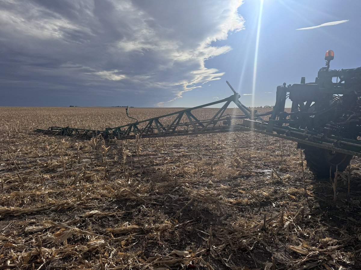 Justin McCaffrey tweet media