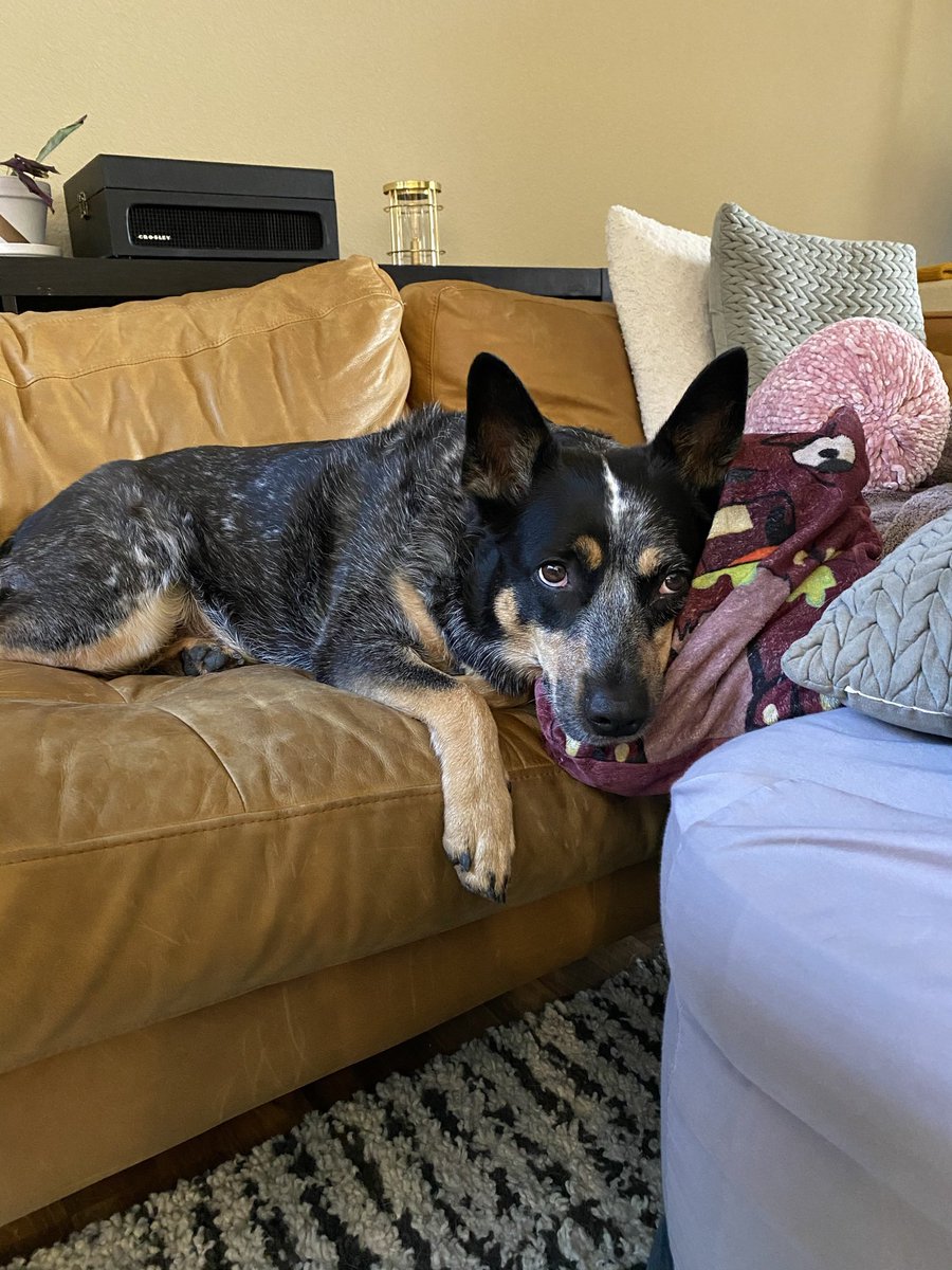 Katie-Rose tweet media