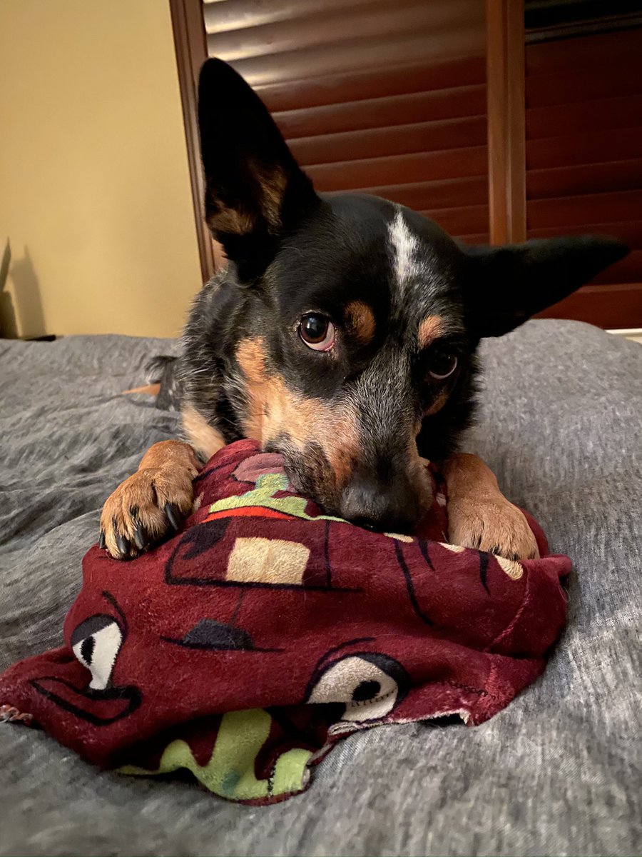 Katie-Rose tweet media