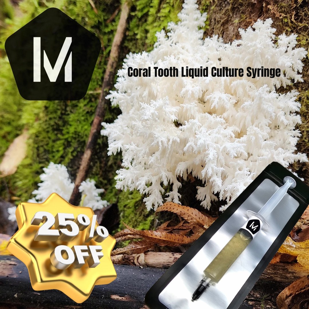 Missionmyco's tweet image. Grow big with savings! Coral Tooth Liquid Culture Syringe is now 25% off! Get your cultivation started with one of the best mycelium strains around. Limited time offer—grab yours today! #MushroomCultivation #LiquidCulture #CoralTooth #MissionMyco #25Off