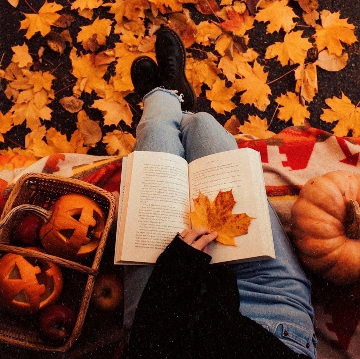 _pumpkinwitch's tweet photo. Spooky season aesthetic is so comfortable 🍁🧡 https://t.co/EJQuVGvH6i