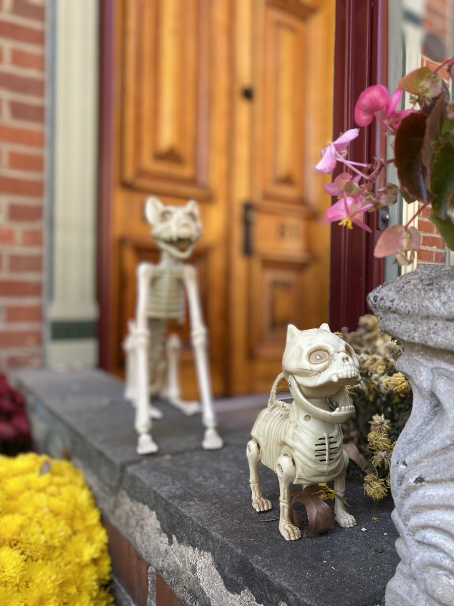 Halloween Greetings from  ⁦⁦⁦<a href="/mylambertville/">City of Lambertville</a>⁩ NJ