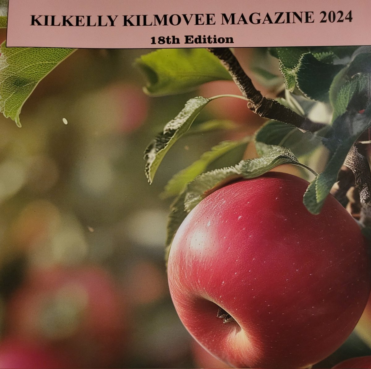 KilkellyKilmoveeMag tweet media