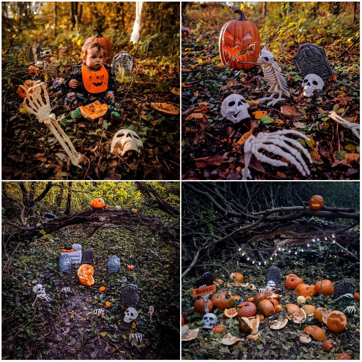 Wild Bears Forest School CIC tweet media